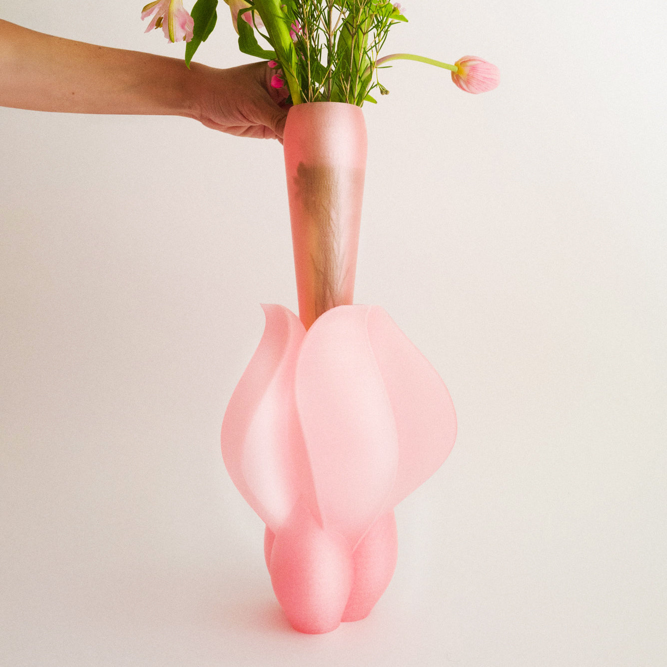 IRIS BULBILIS - vase - pink