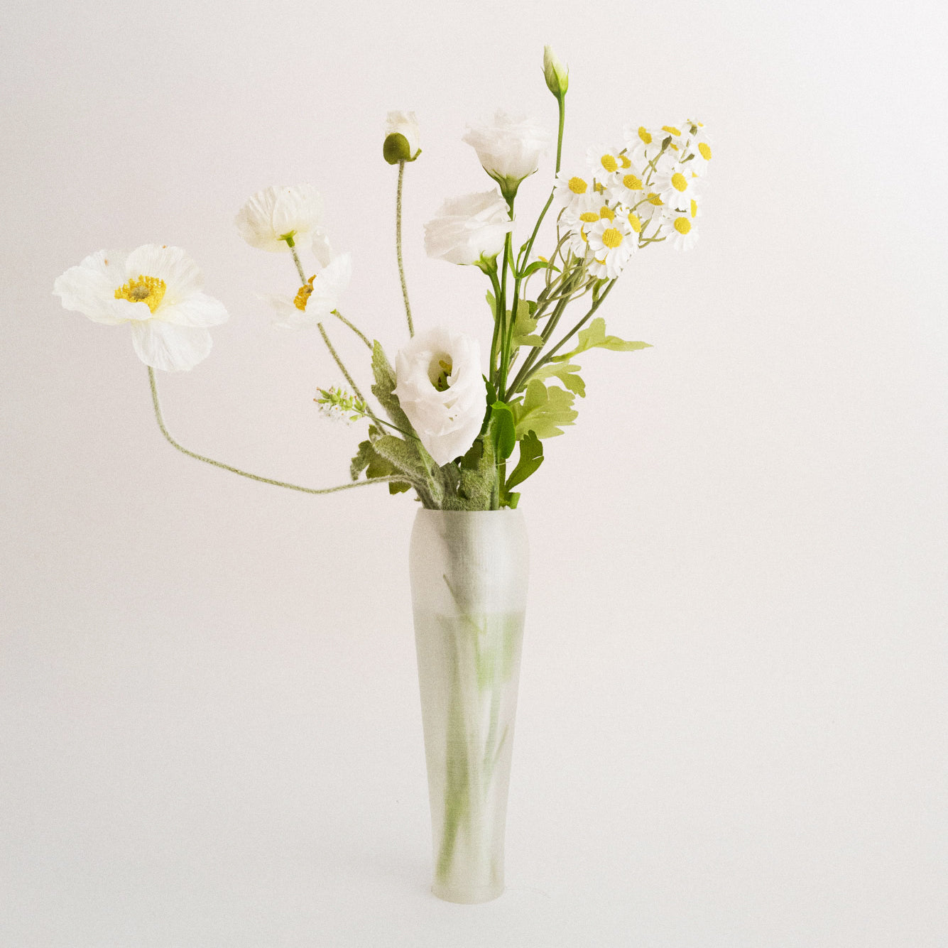 IRIS BULBILIS - vase - white