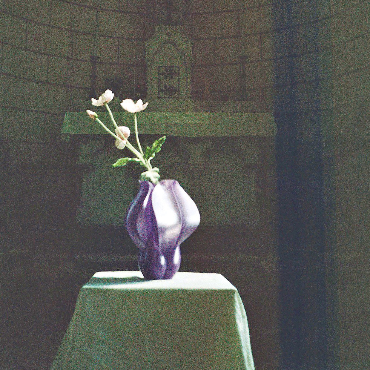 IRIS BULBILIS - vase - blue
