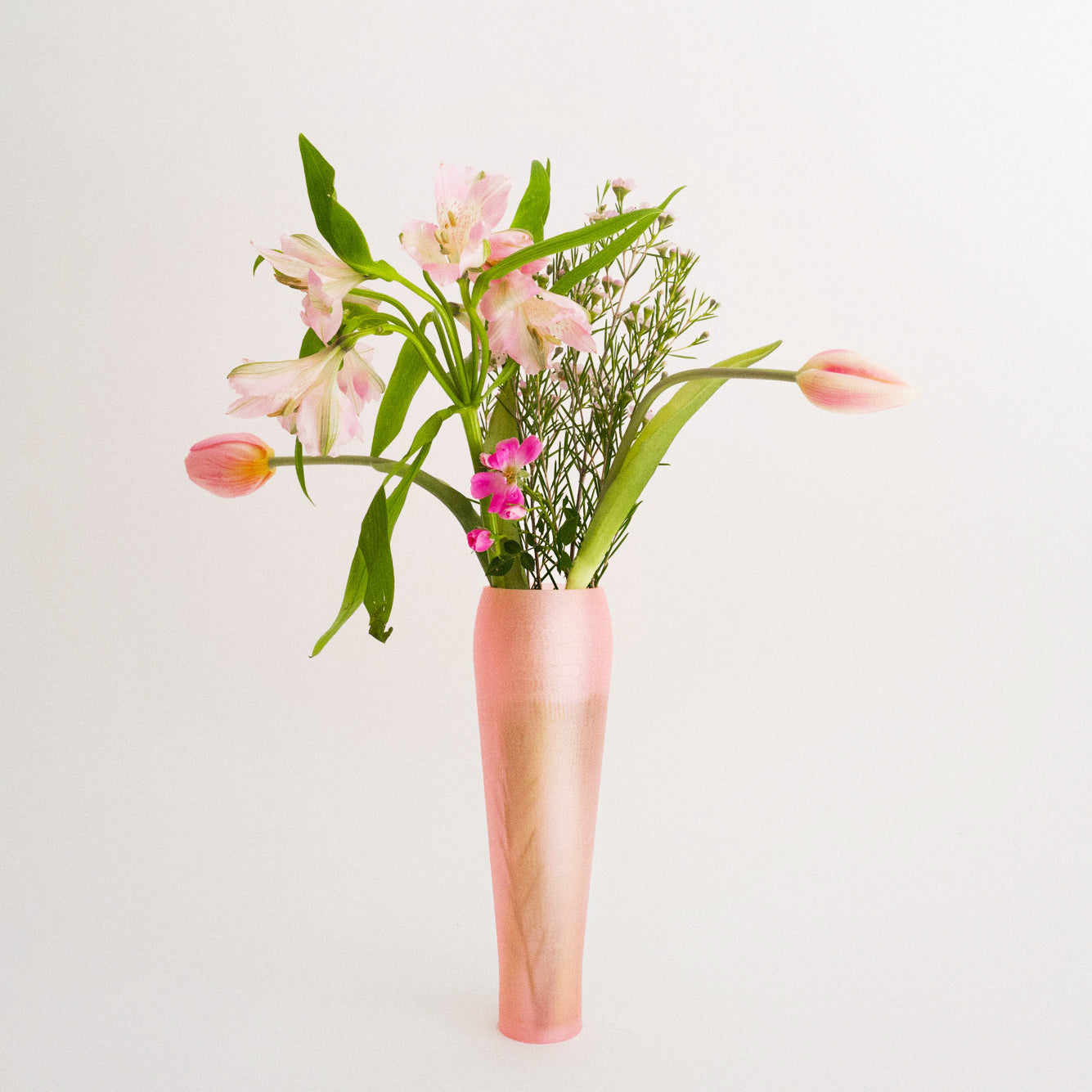 IRIS BULBILIS - vase - pink