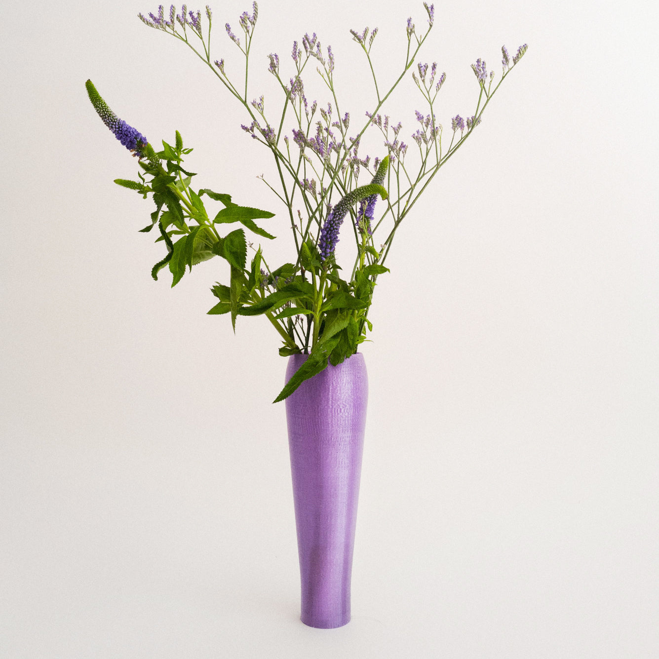 IRIS BULBILIS - vase - purple