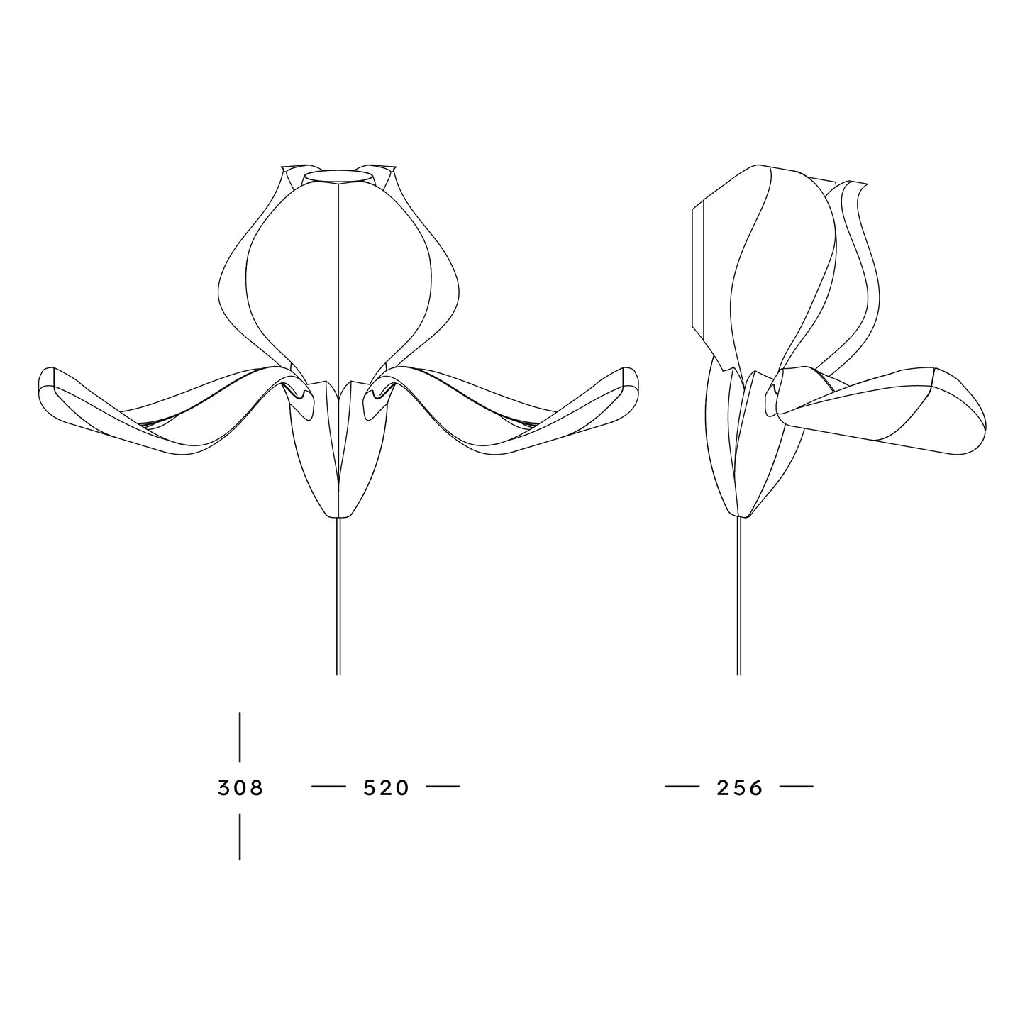 IRIS VITIS - applique - verte