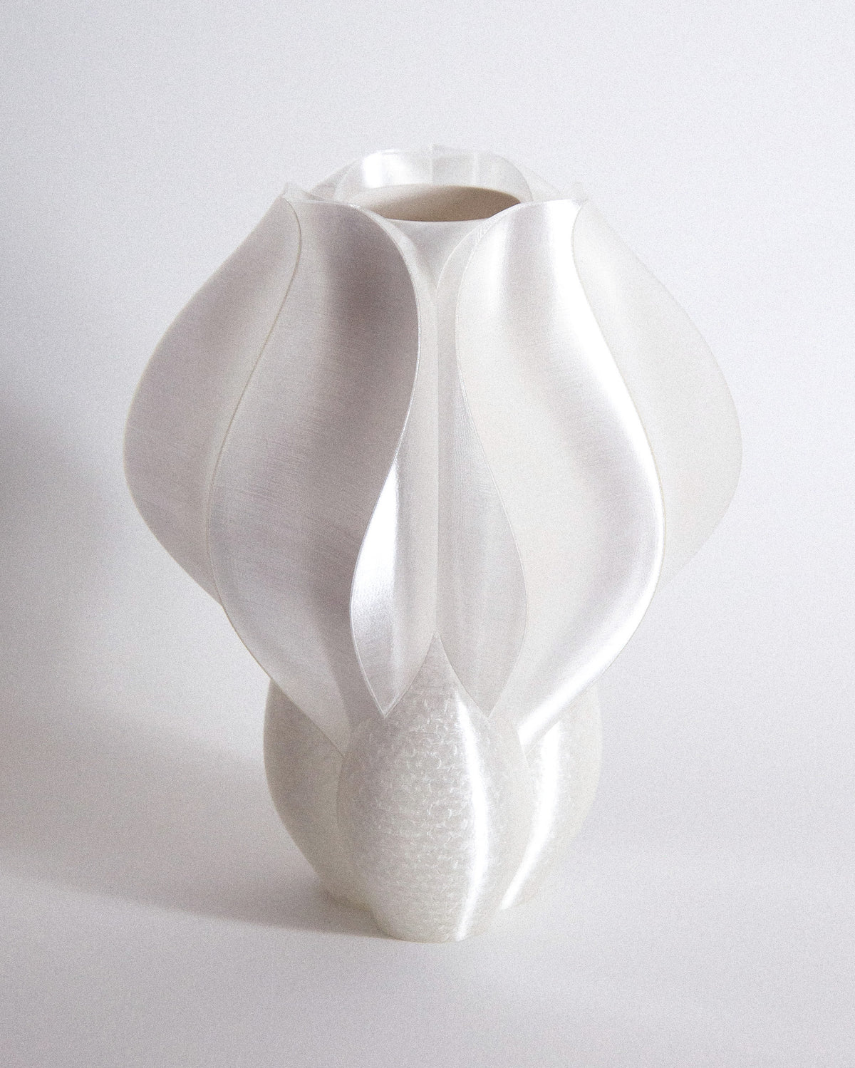 Vase IRIS BULBILIS
