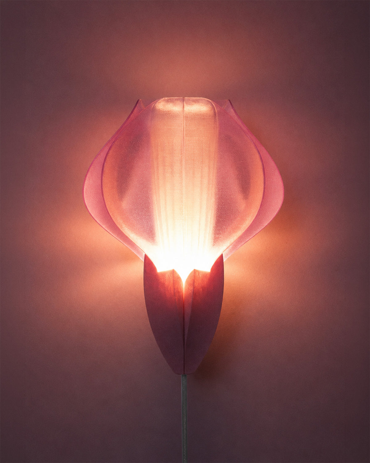 IRIS VITIS Wall Lamp