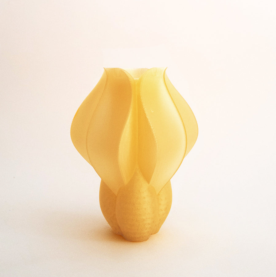 IRIS - mini vase - orange