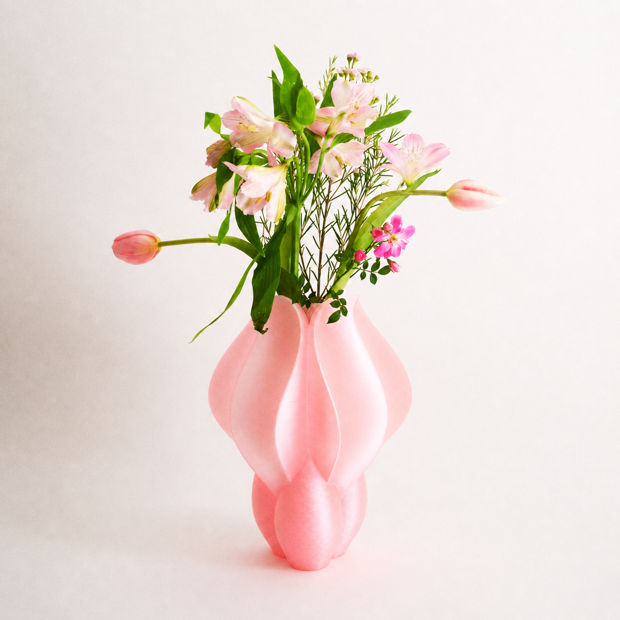 Vase IRIS BULBILIS pink