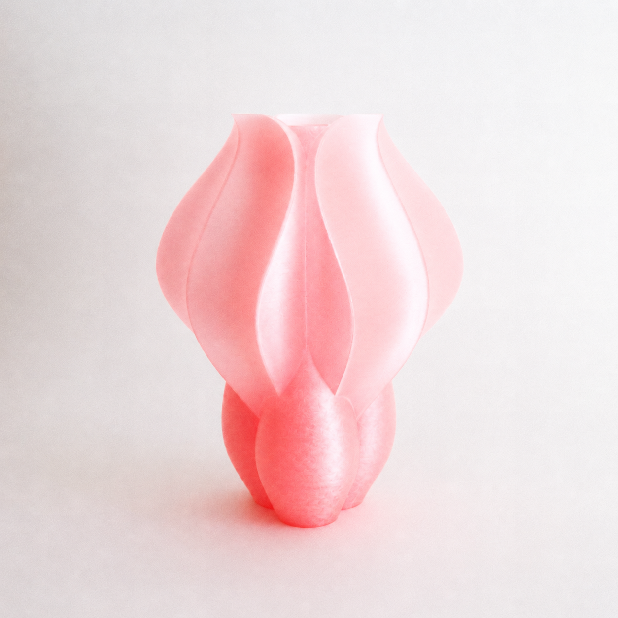 Vase IRIS BULBILIS pink