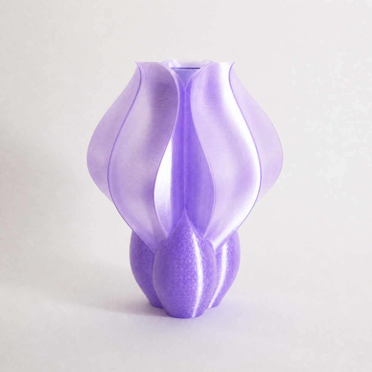 IRIS BULBILIS violet vase