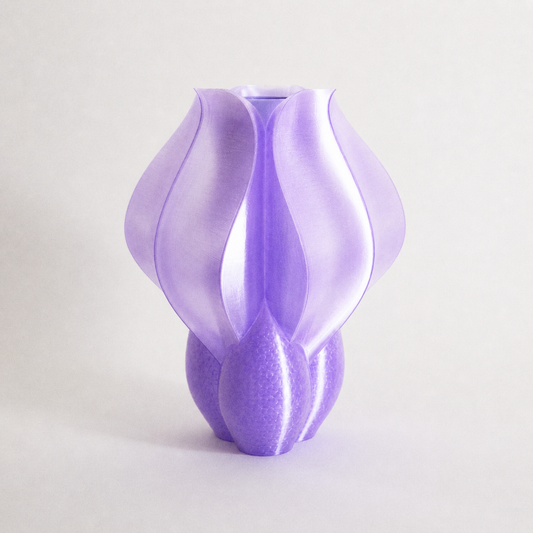 Vase IRIS BULBILIS violet