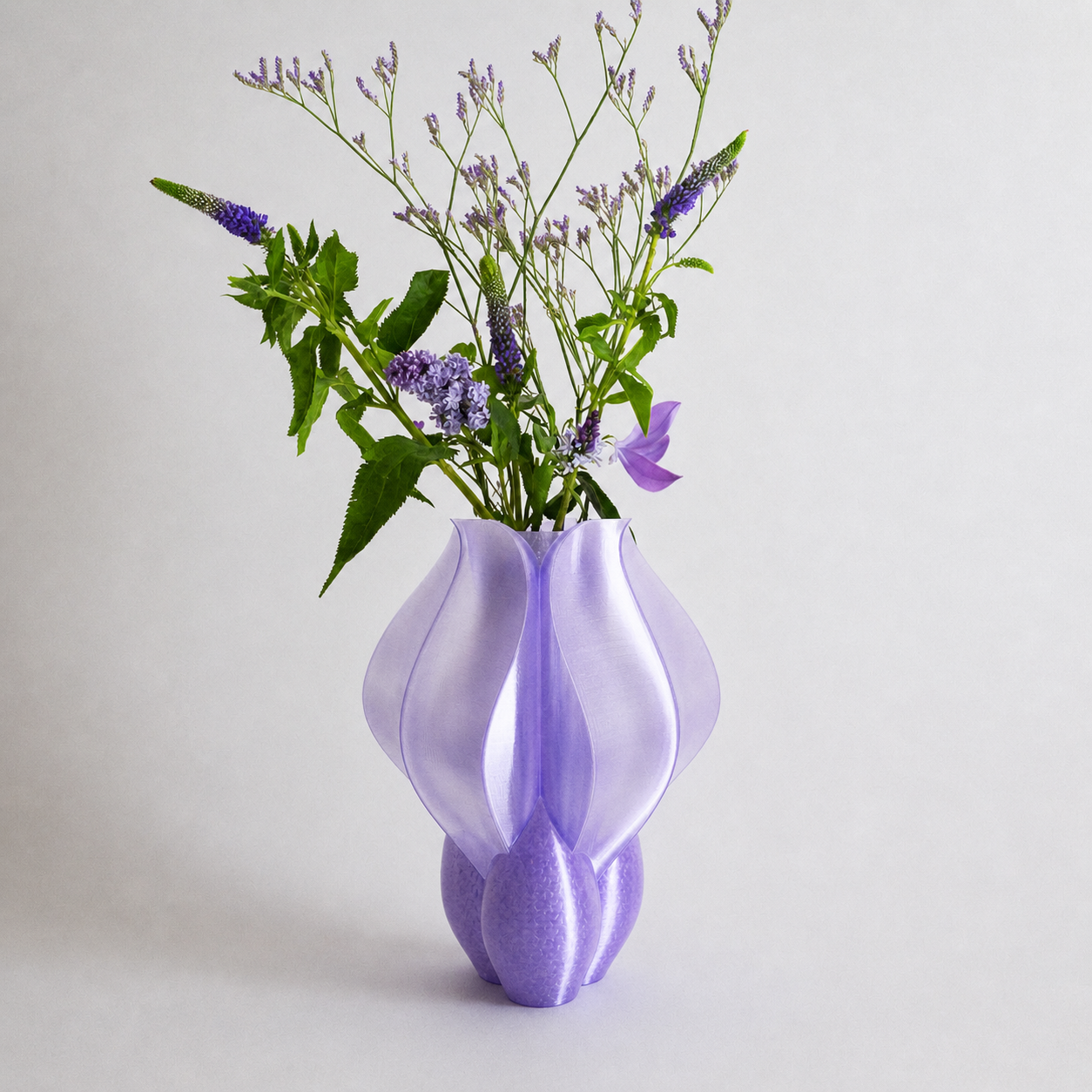 IRIS BULBILIS violet vase