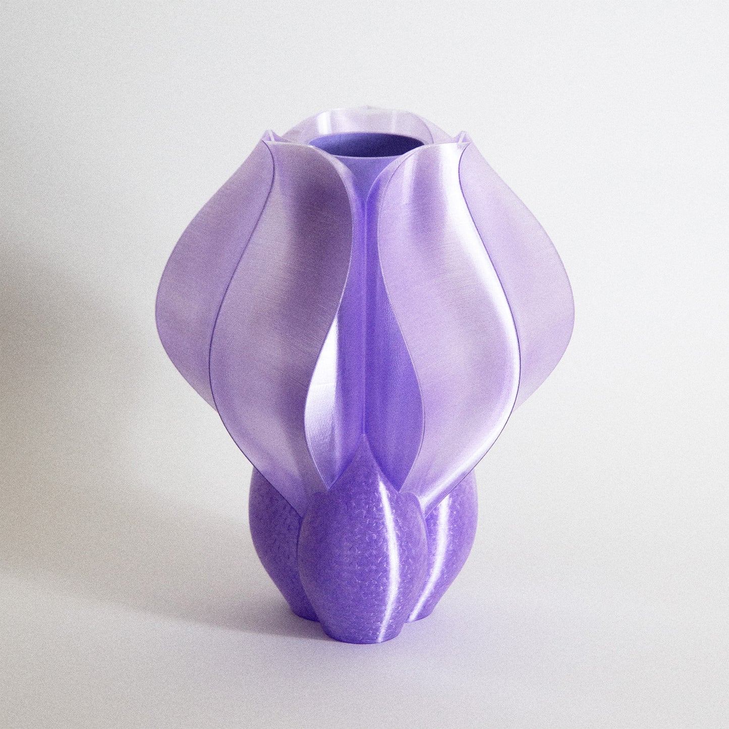 IRIS BULBILIS vase max violet