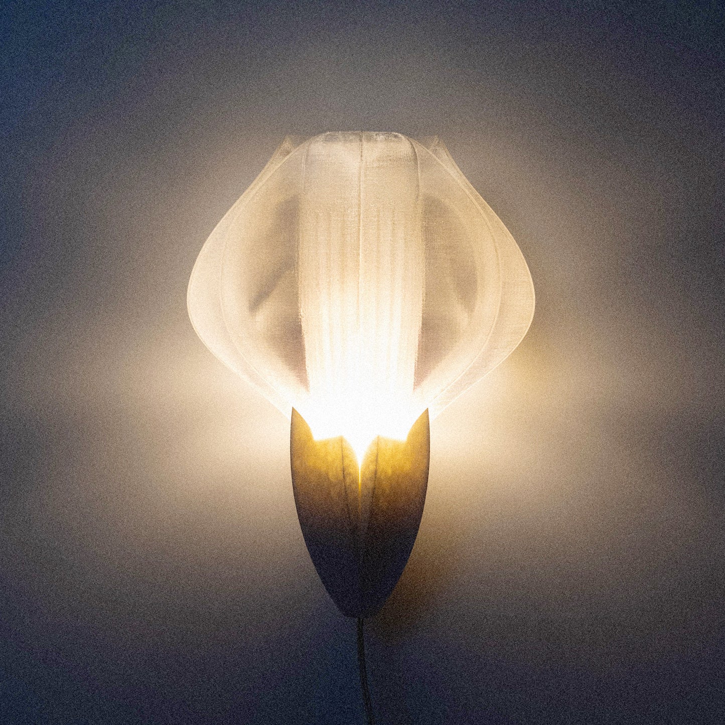 IRIS VITIS MINI - applique - blanche