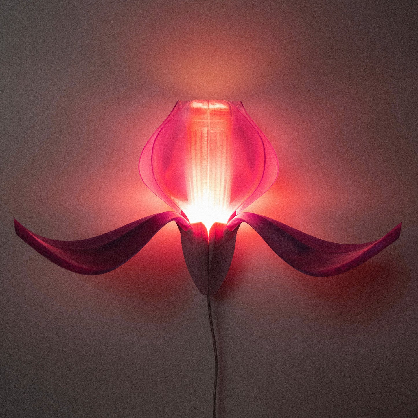 IRIS VITIS - applique - rose