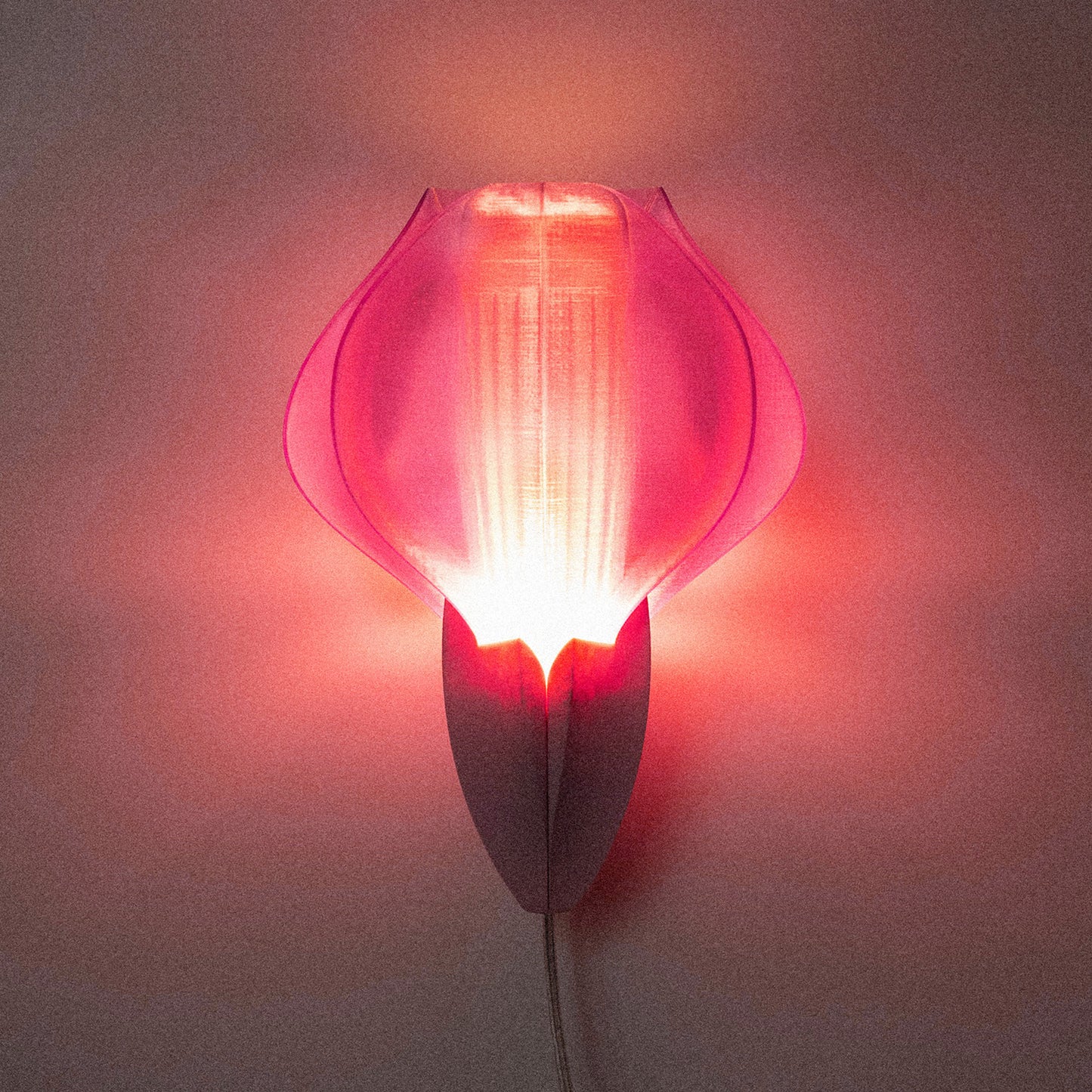 IRIS VITIS MINI - applique - rose