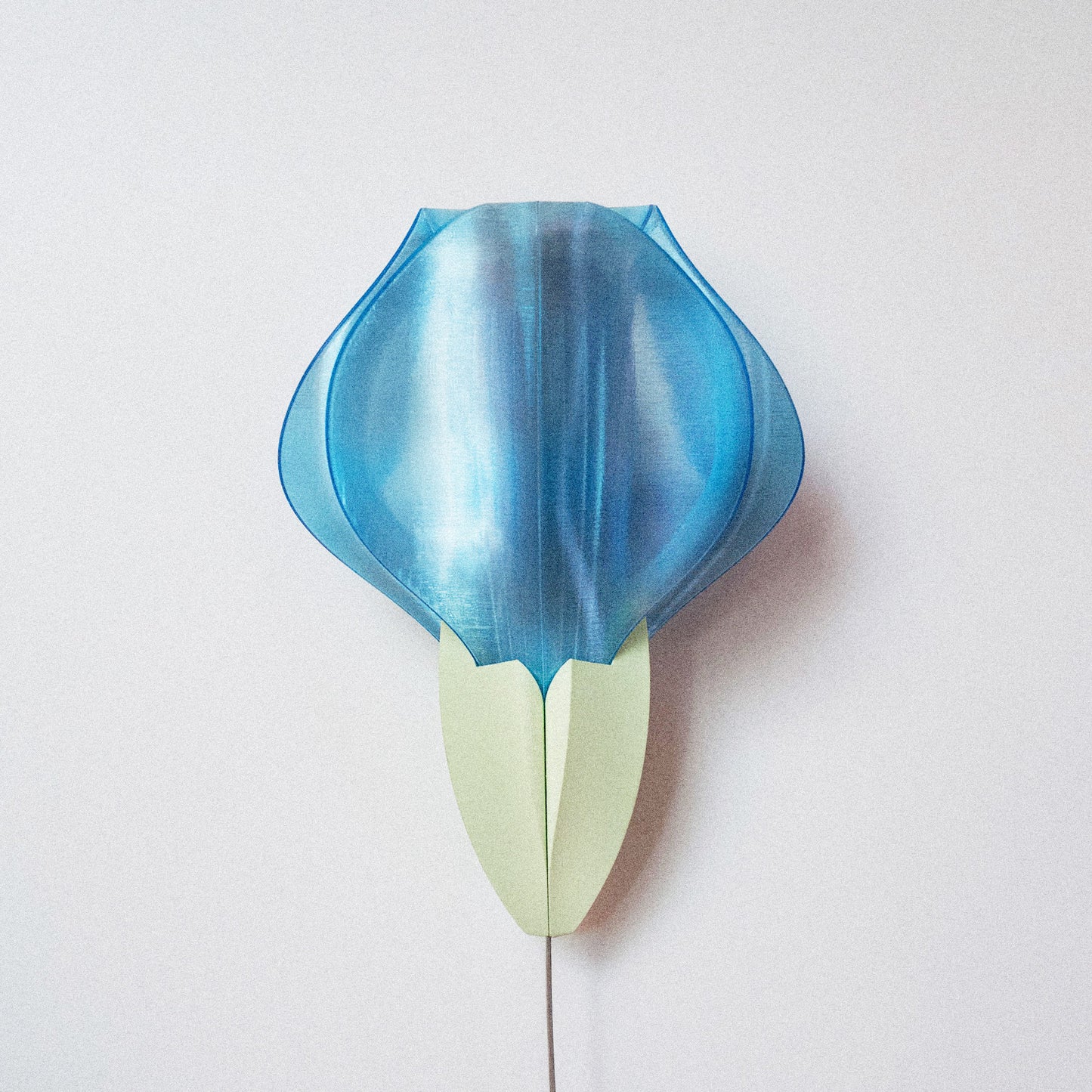 IRIS VITIS MINI - applique - verte