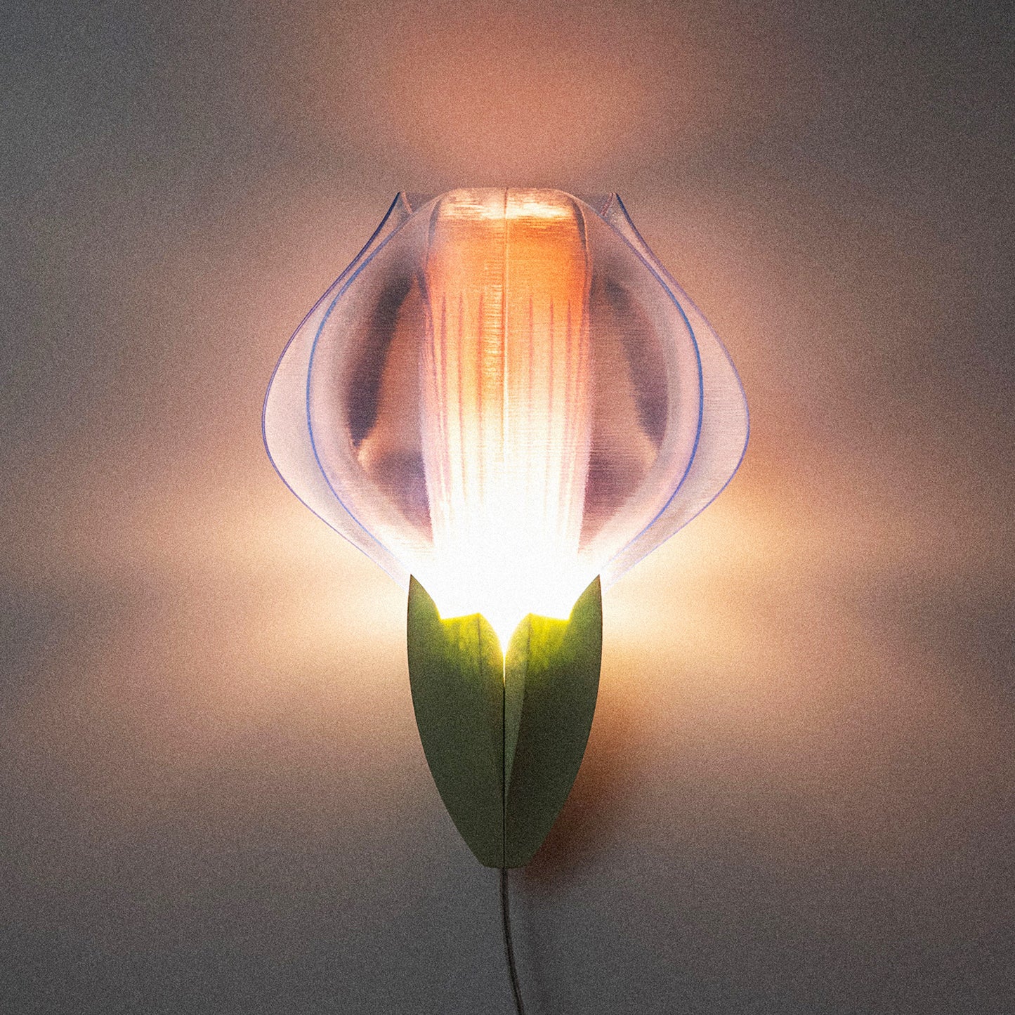 IRIS VITIS MINI - applique - verte