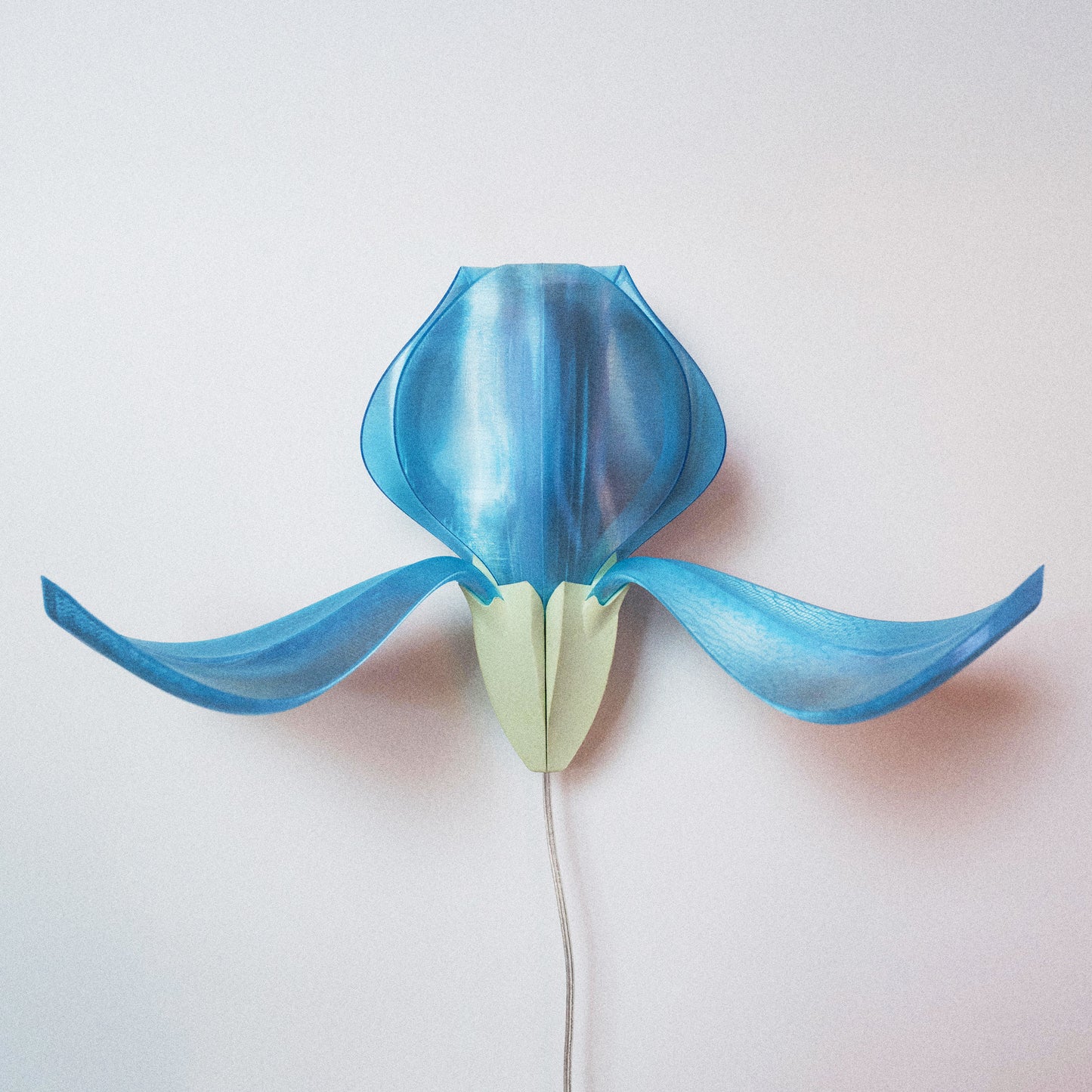 IRIS VITIS - applique - verte