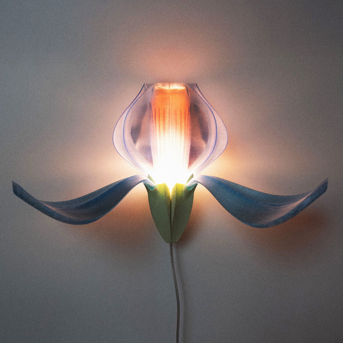 IRIS VITIS - applique - verte