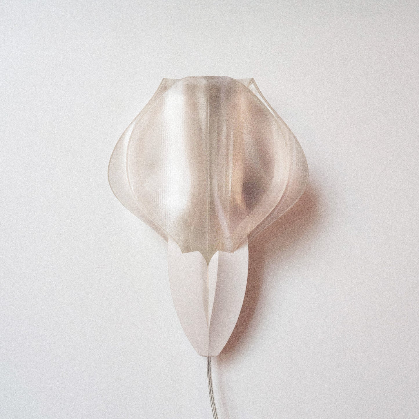 IRIS VITIS MINI - applique - blanche