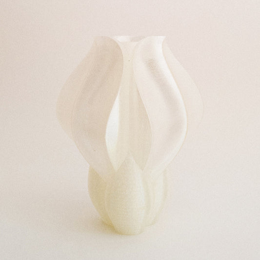 IRIS BULBILIS - vase - white