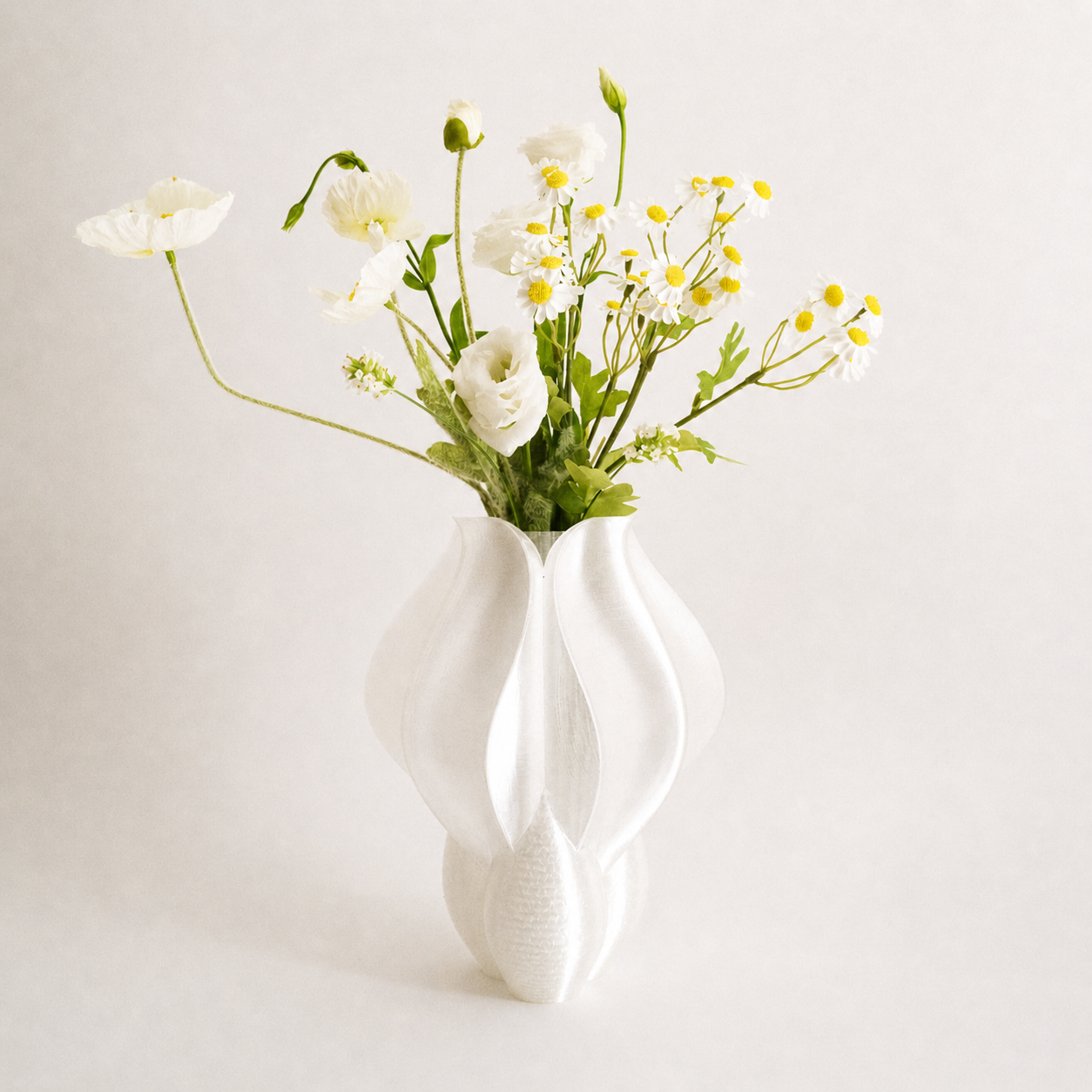 IRIS BULBILIS white vase