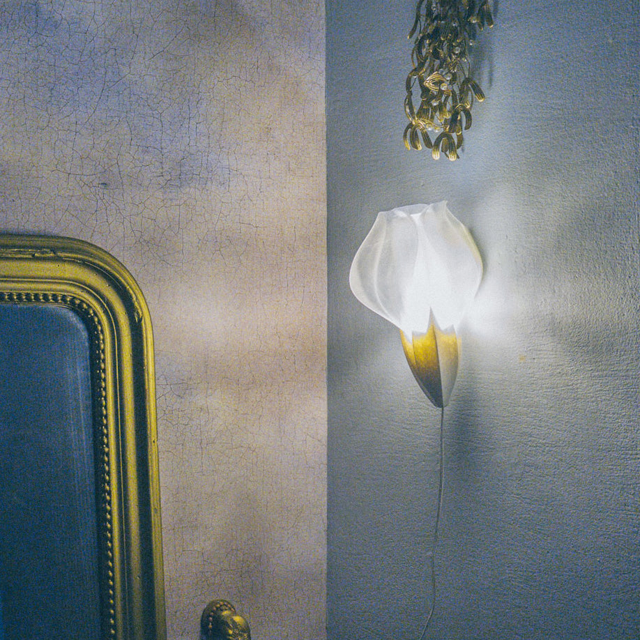 IRIS VITIS MINI - applique - verte