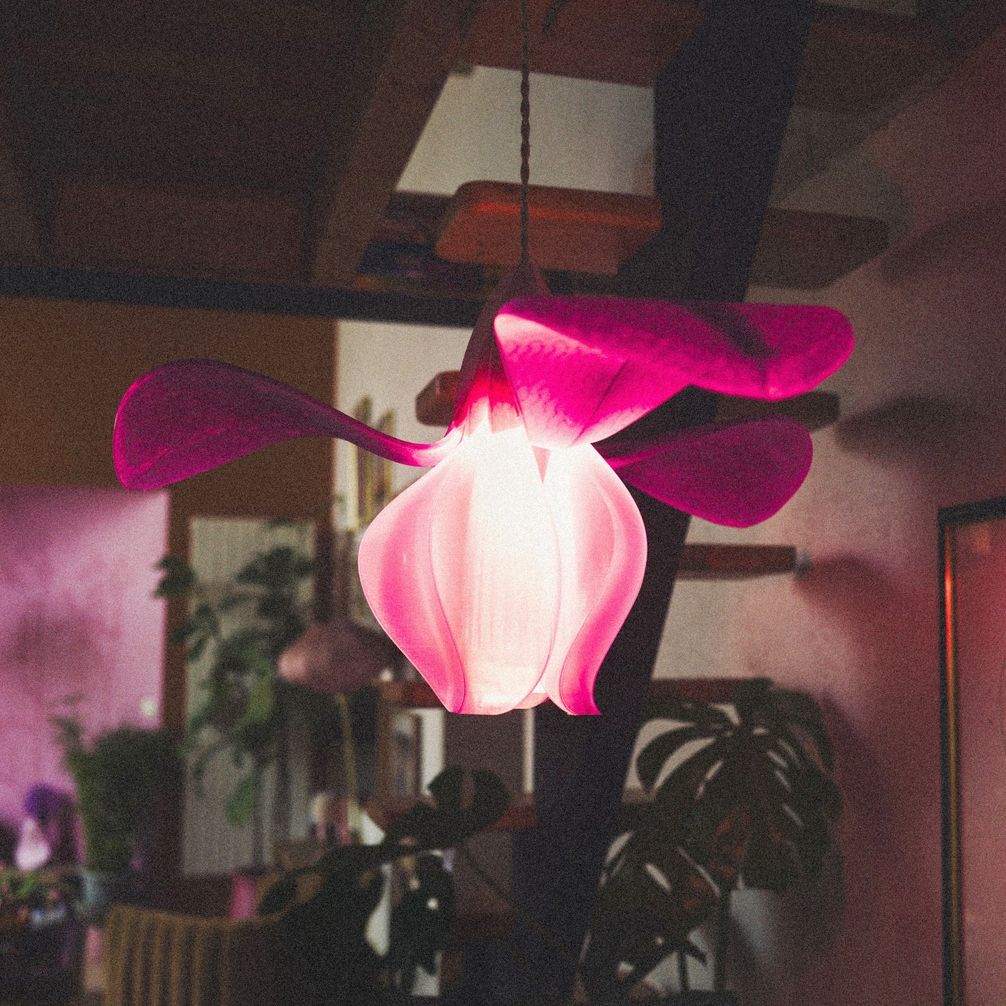 IRIS FILAMENTUM - suspension - rose