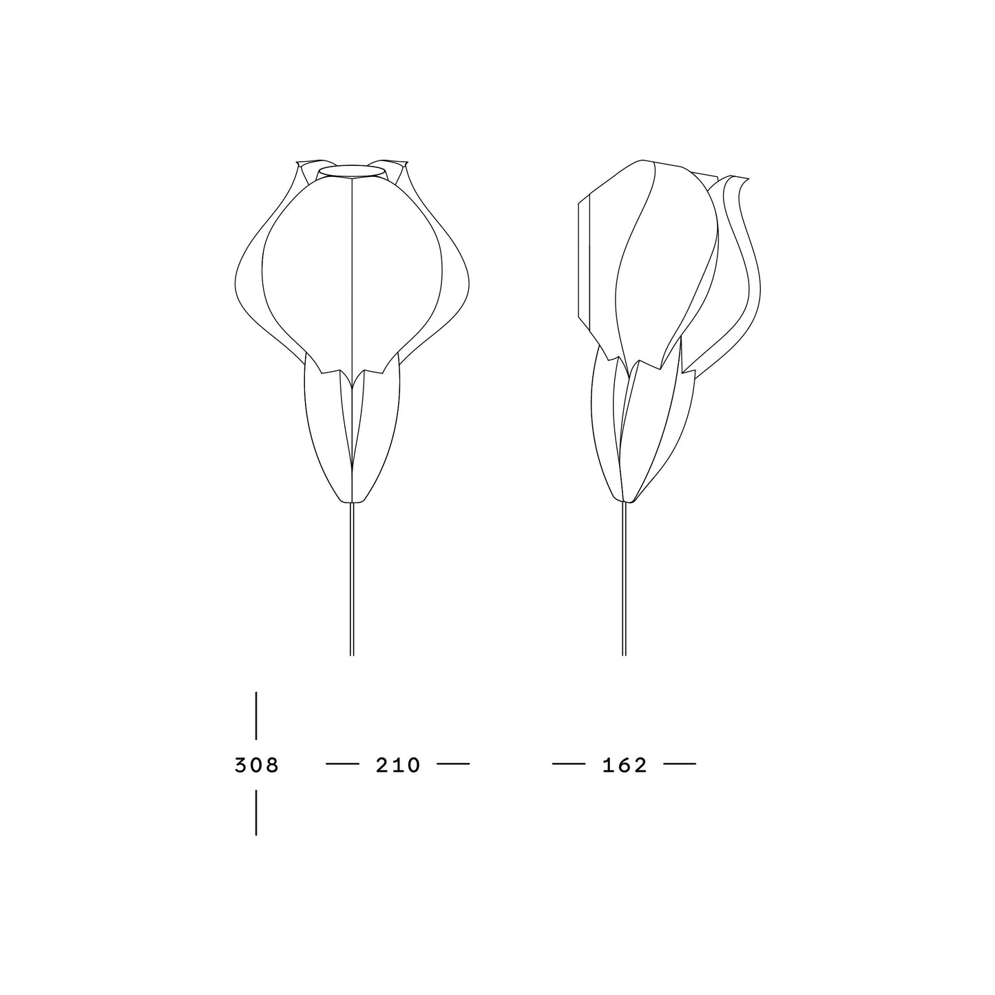 IRIS VITIS MINI - applique - verte