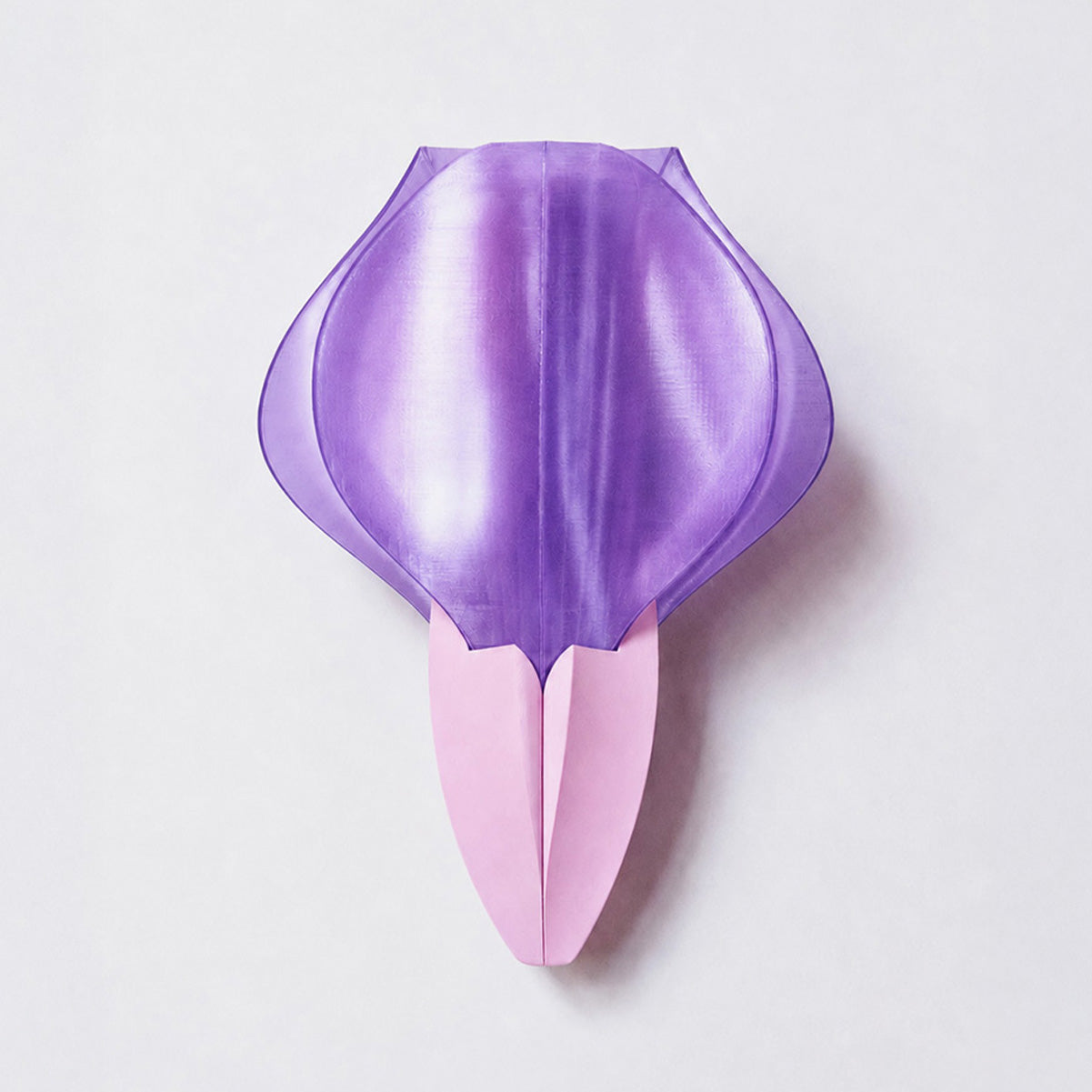 Applique IRIS VITIS rose