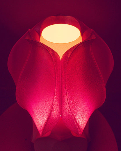 IRIS GEMMA Table lamp