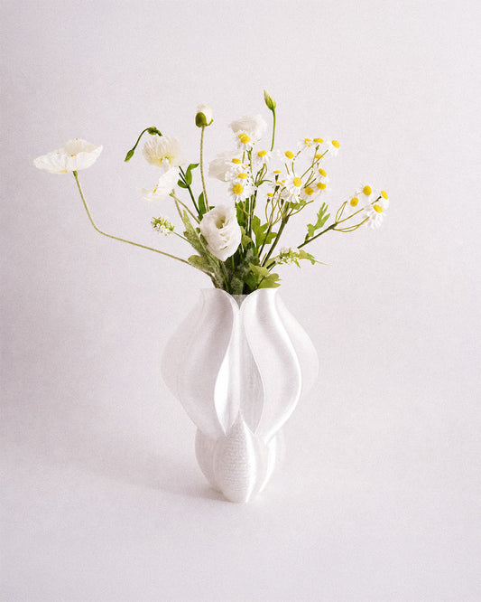 Vase IRIS BULBILIS