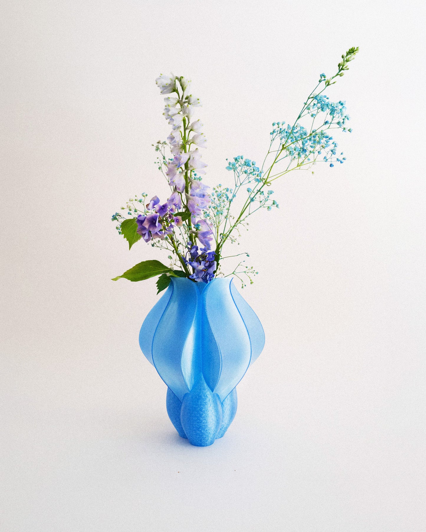 Vase IRIS BULBILIS