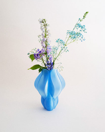 Vase IRIS BULBILIS