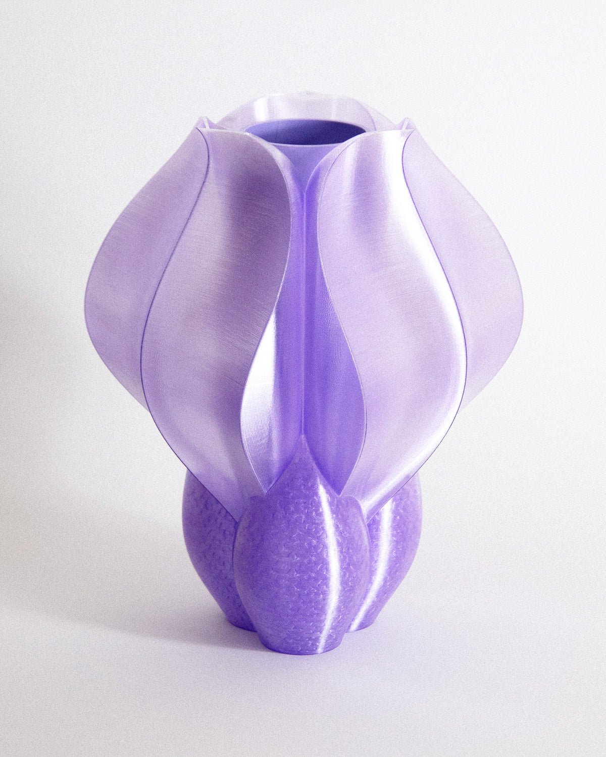 Vase IRIS BULBILIS