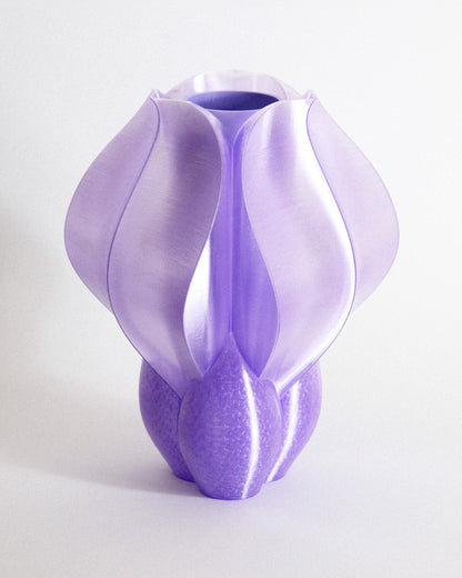 Vase IRIS BULBILIS