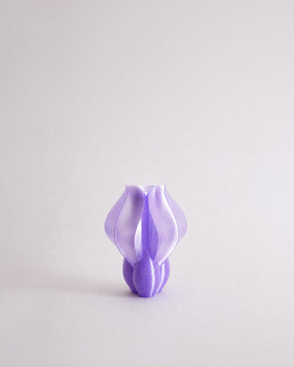 Vase IRIS BULBILIS