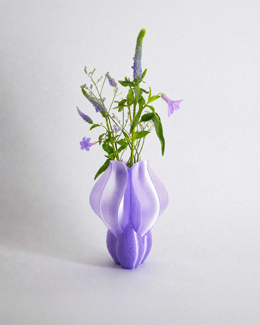 Vase IRIS BULBILIS