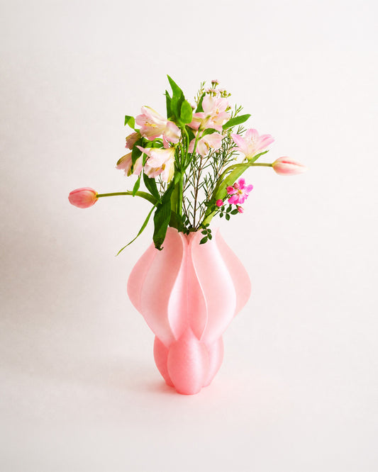 Vase IRIS BULBILIS rose