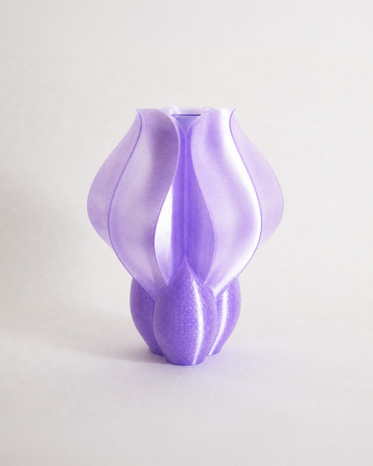 Vase IRIS BULBILIS violet