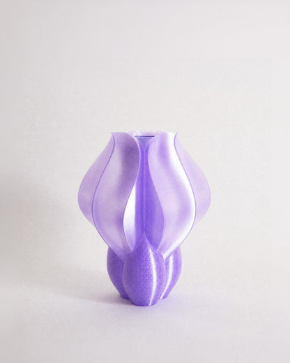 Vase IRIS BULBILIS