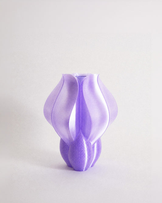 Vase IRIS BULBILIS