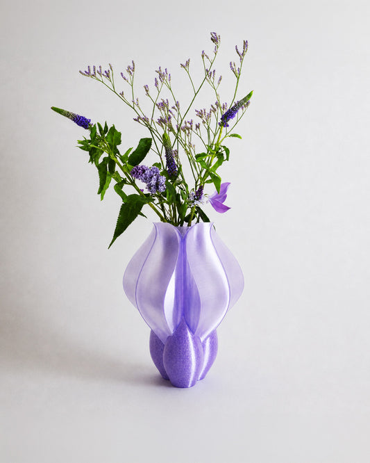 Vase IRIS BULBILIS violet