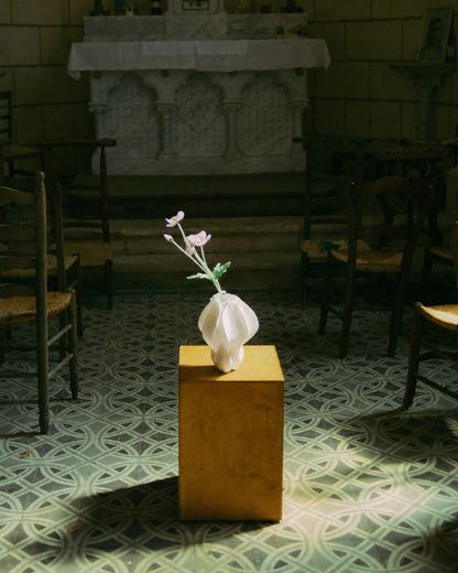 Vase IRIS BULBILIS