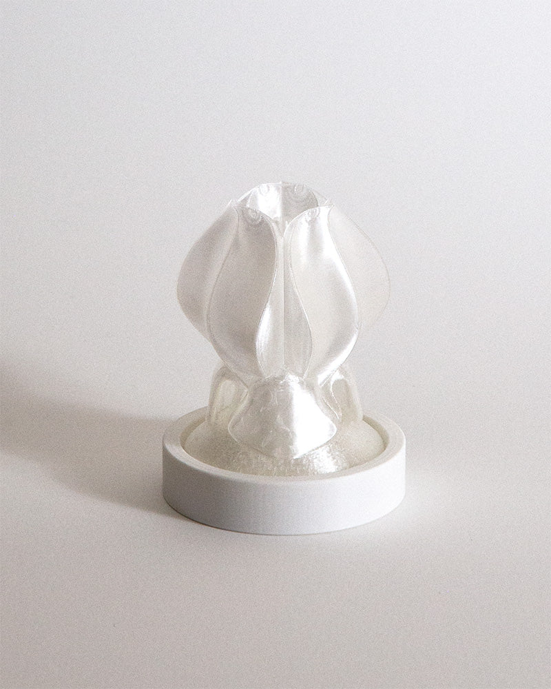 IRIS IGNIS Incense Holder