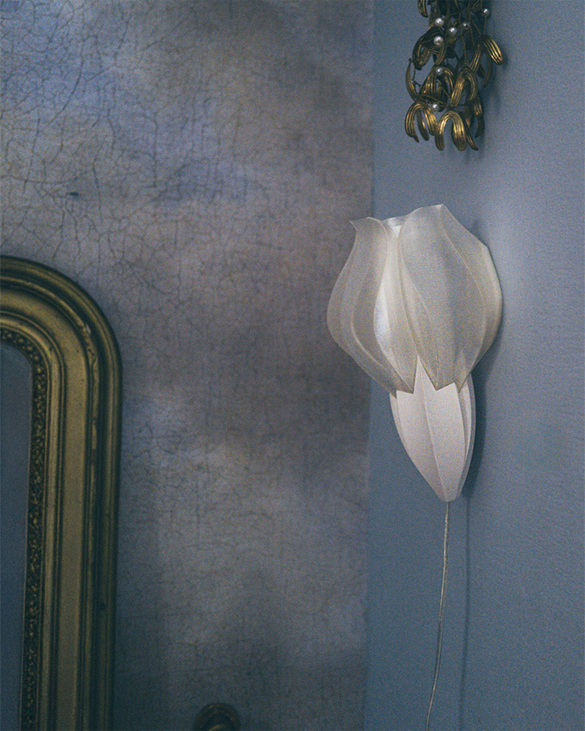 IRIS VITIS Sconce