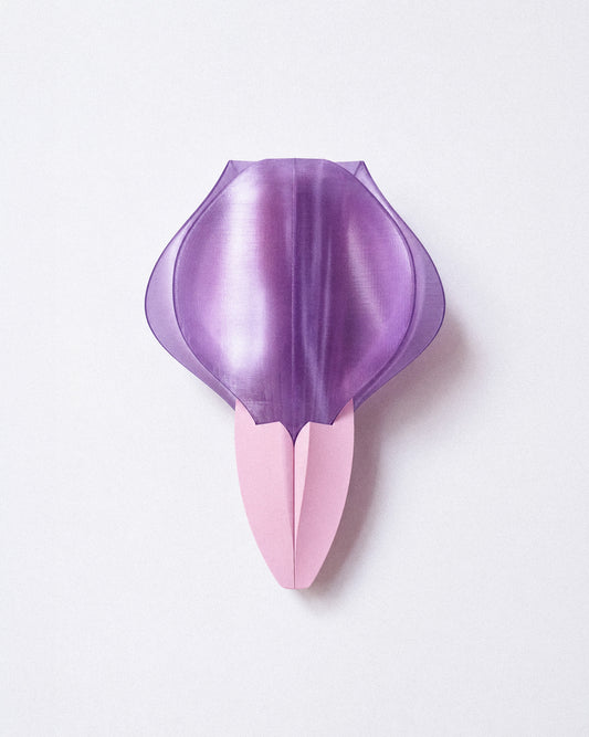 Applique IRIS VITIS rose