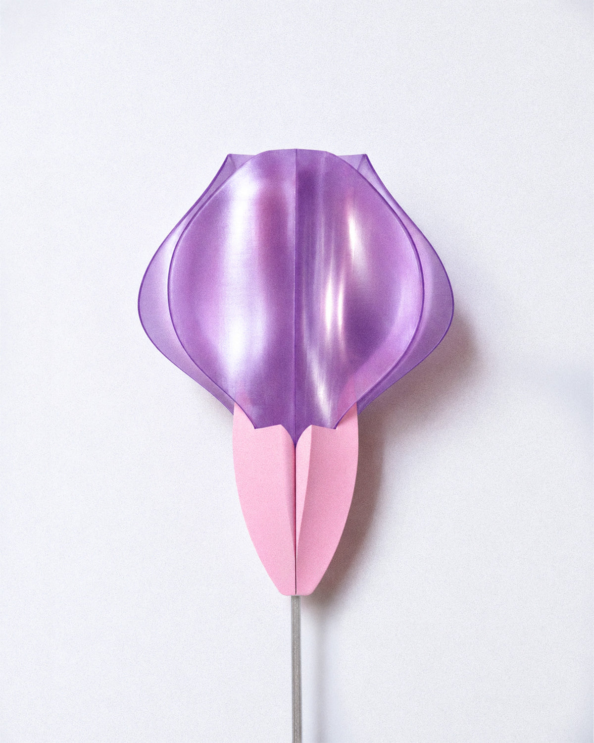 IRIS VITIS Wall Lamp