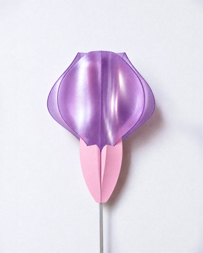 IRIS VITIS Wall Lamp
