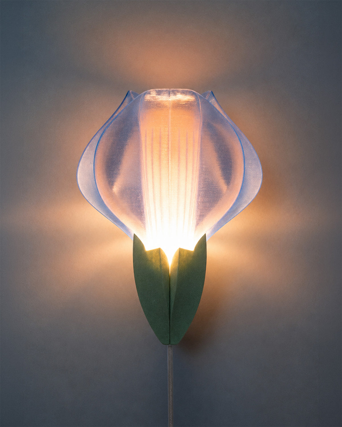 IRIS VITIS Wall light