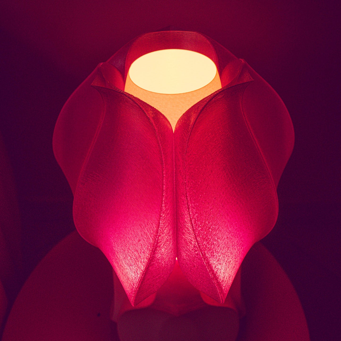 IRIS LAMINA mini pink table lamp